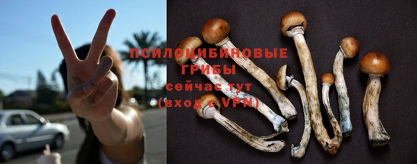 прущие грибы Нязепетровск
