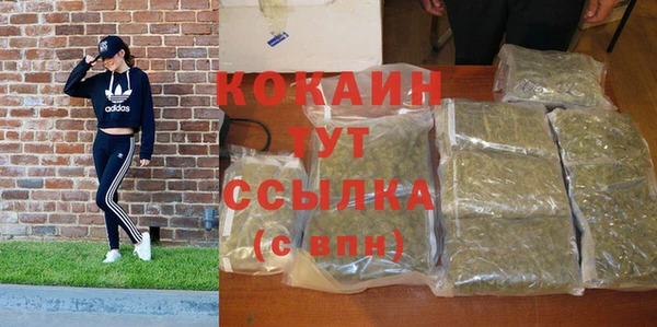 меф Няндома