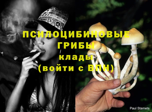 каннабис Новокубанск