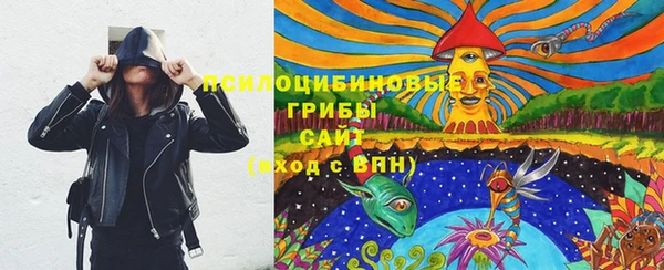 меф Няндома