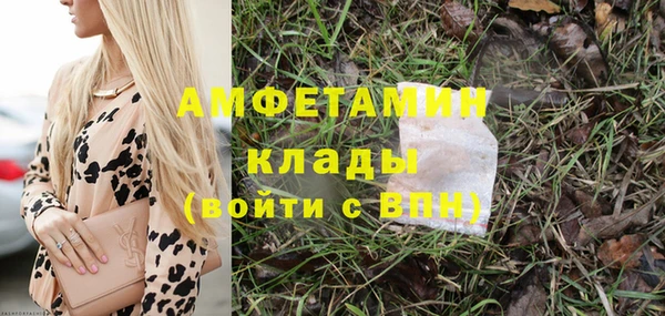 прущие грибы Нязепетровск