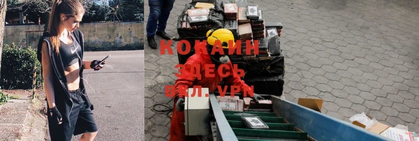 COCAINE Новодвинск