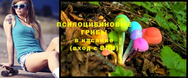 Галлюциногенные грибы Psilocybe  Руза 