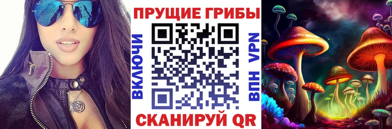 Псилоцибиновые грибы прущие грибы  Руза 